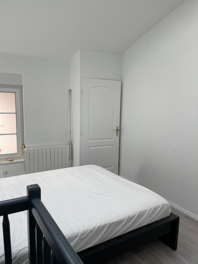 Nancy Hypercentre 34 Rue Des Dominicains ! Appartement Buitenkant foto