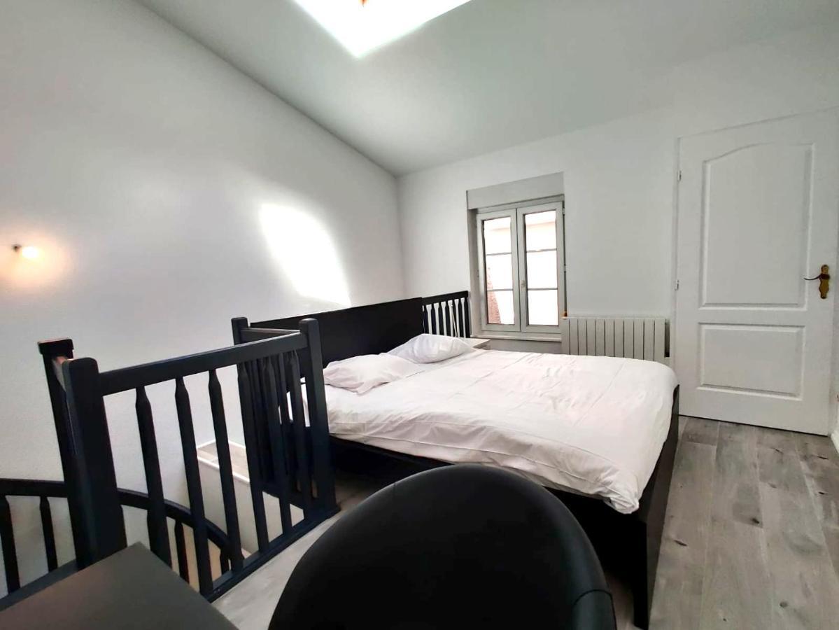 Nancy Hypercentre 34 Rue Des Dominicains ! Appartement Buitenkant foto